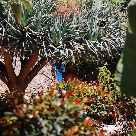 Appartamento Old Fisherman's Corner 14 - Centro Old Town Albufeira