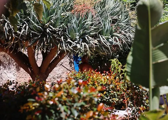 公寓 Old Fisherman's Corner 14 - Centro Old Town 阿尔布费拉